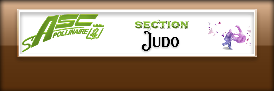 header section judo