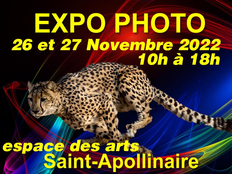 Exposition photos en Novembre