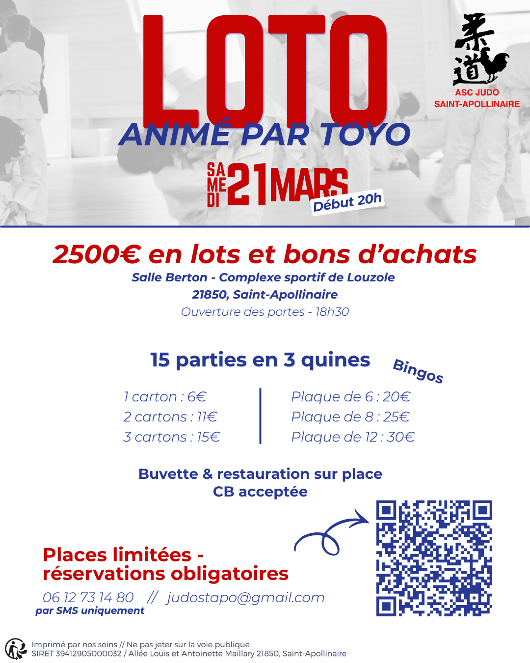 Affiche loto Judo