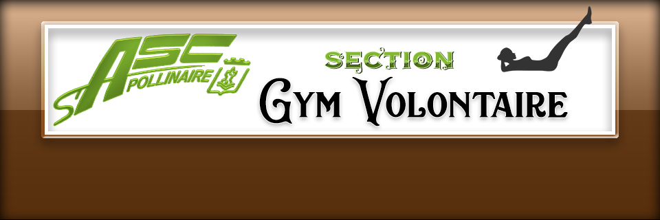 section gym